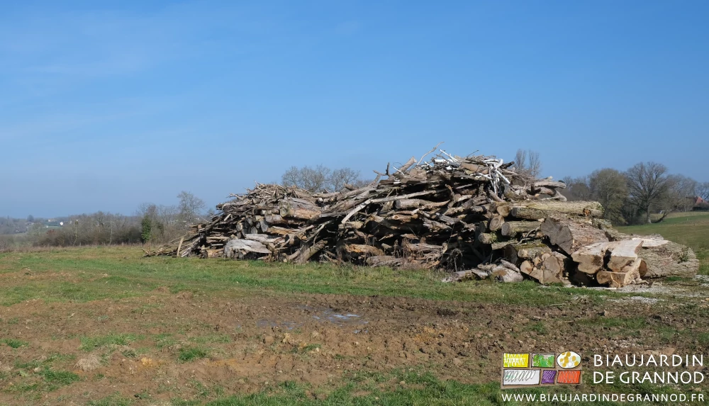 photo sous ciel bleu du tas de branches et troncs stockés en haut d'un pré assez sain