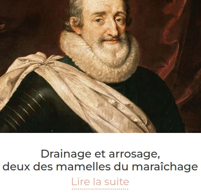 portrait de Henri 4 drainage et arrosage 2 des mamelles du maraîchage