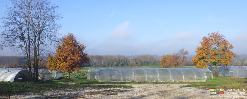 vue d'ensemble du jardin dans son écrin de haies et enrichi d'arbres isolés près des tunnels