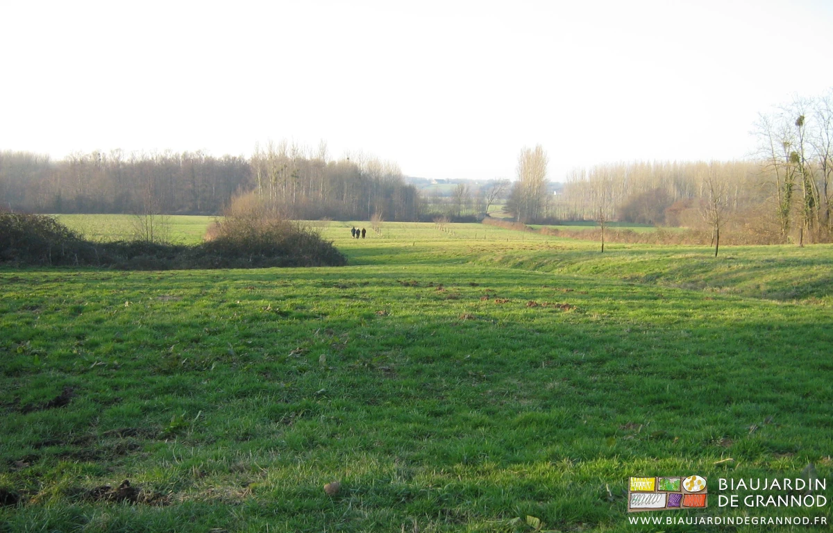 vue lointaine d'une de nos parcelles sans haie bocagère tout autour