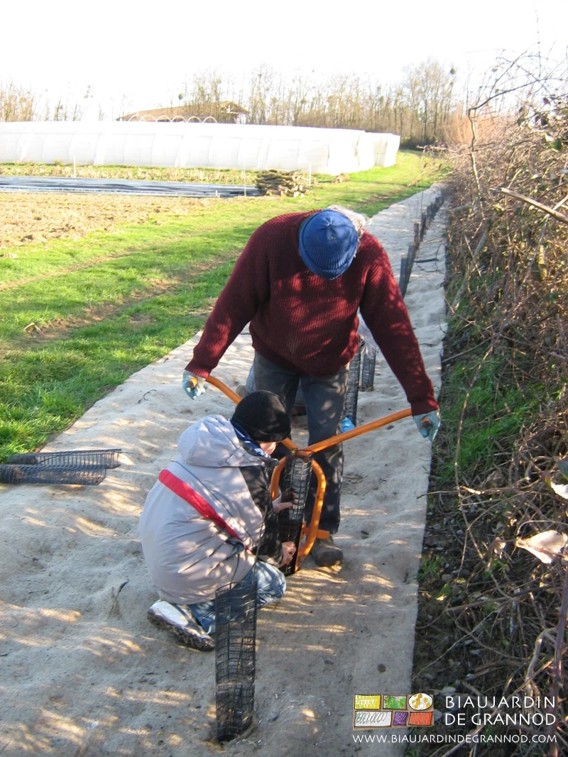 photo du Biau Jardinier canal historique et son fils gravement mineur plantant une haie en culture biologique