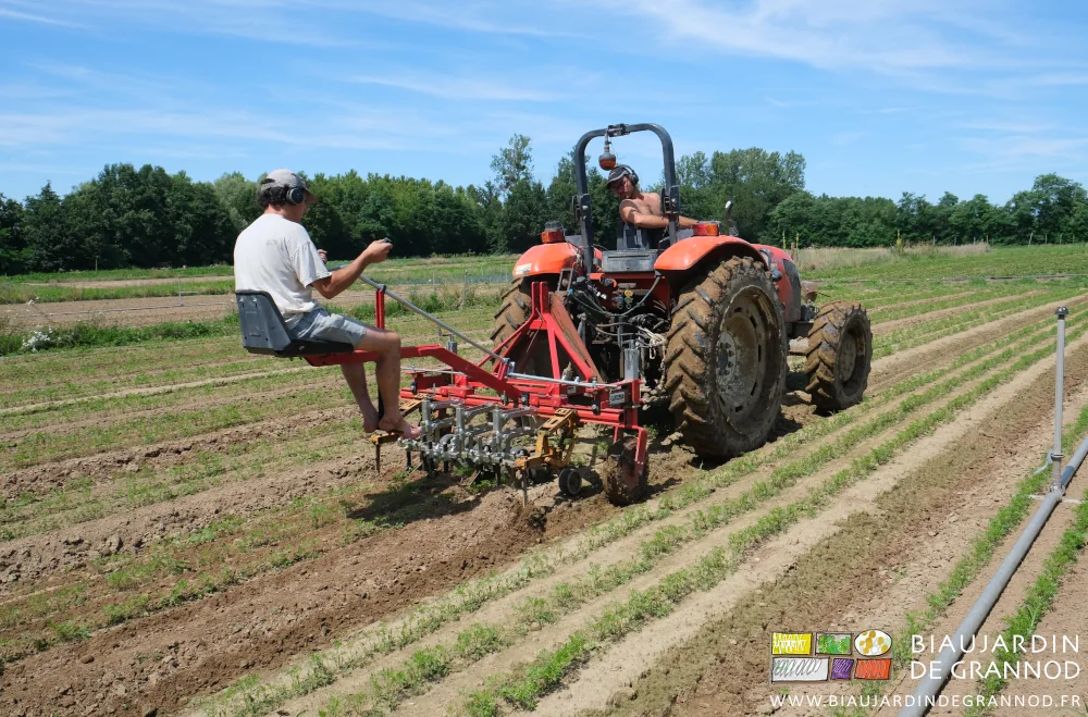 photo de binage de précision, Vivien assis sur la bineuse, Matthieu sur le tracteur