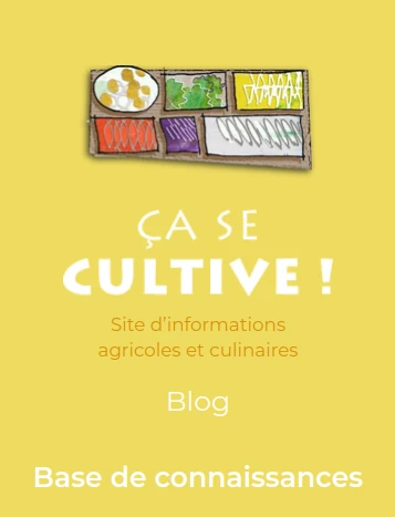 extrait jaune moutarde de la page accueil de notre site ça se cultive point fr