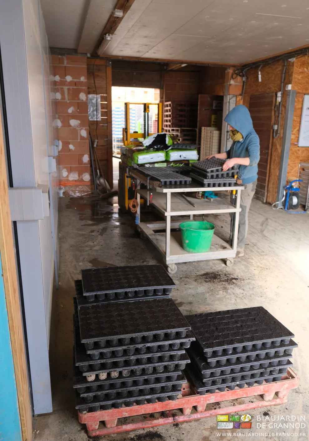photo des piles de plaques prêtes pour le semis