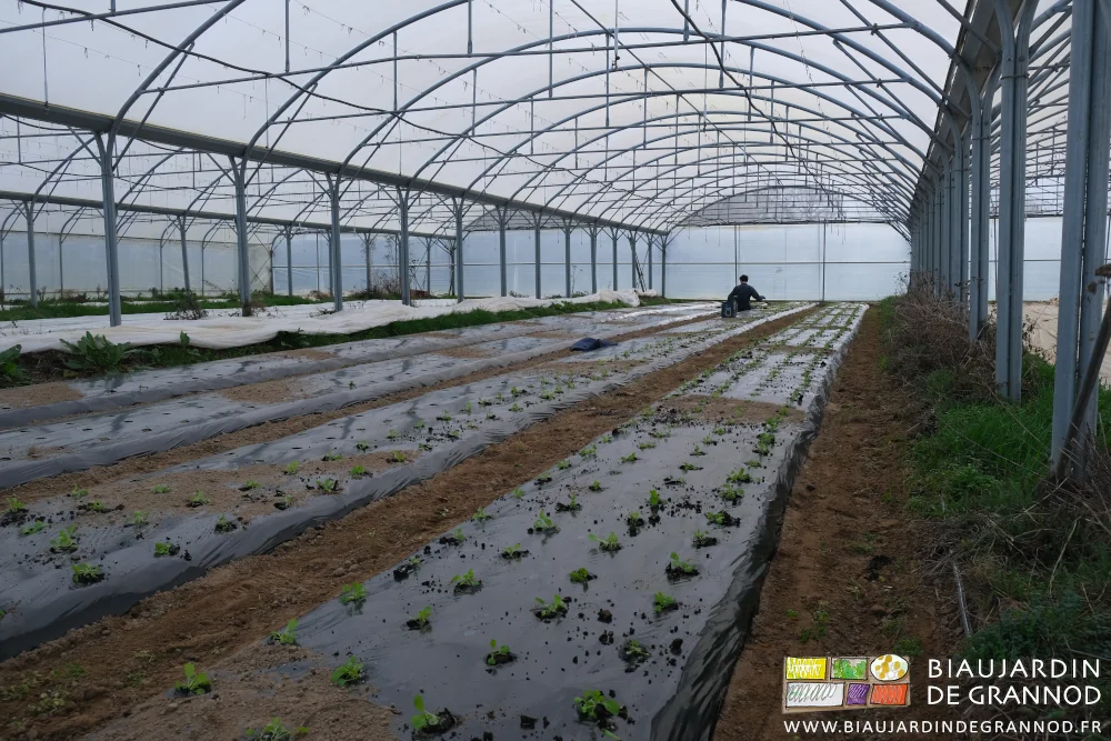 photo d'ensemble d'une des chapelles du quadri tunnel avec Vivien au fond qui repique