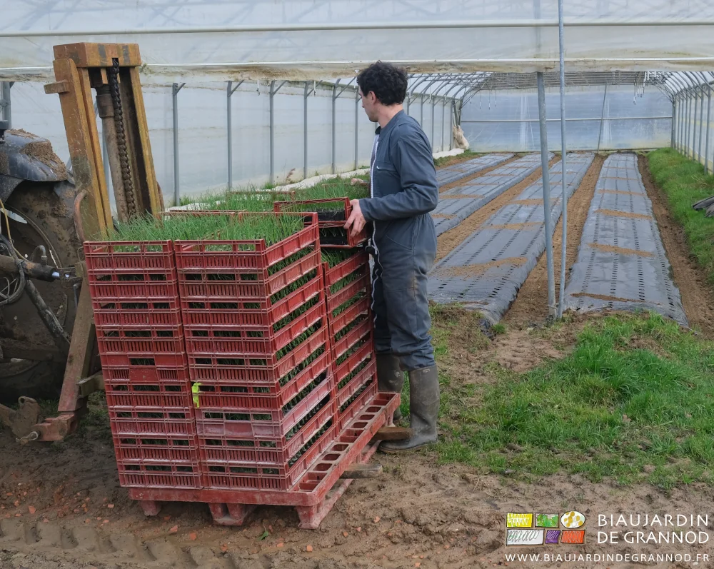 photo de Vivien prenant des caisses de mottes sur la palette