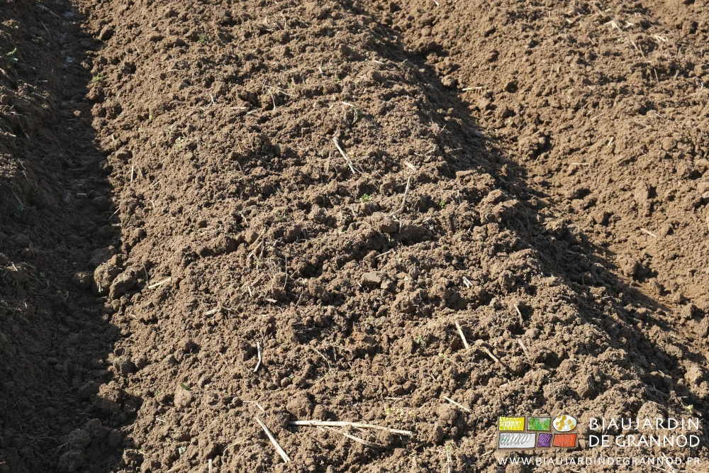 photo proche du détail de la structure aérée des planches permanentes juste travaillées