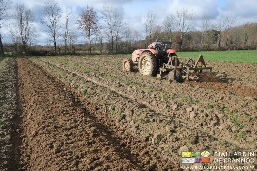 photo d'ensemble du carré en cours de travail au cultibutte par Matthieu sur fond de haies bocagères