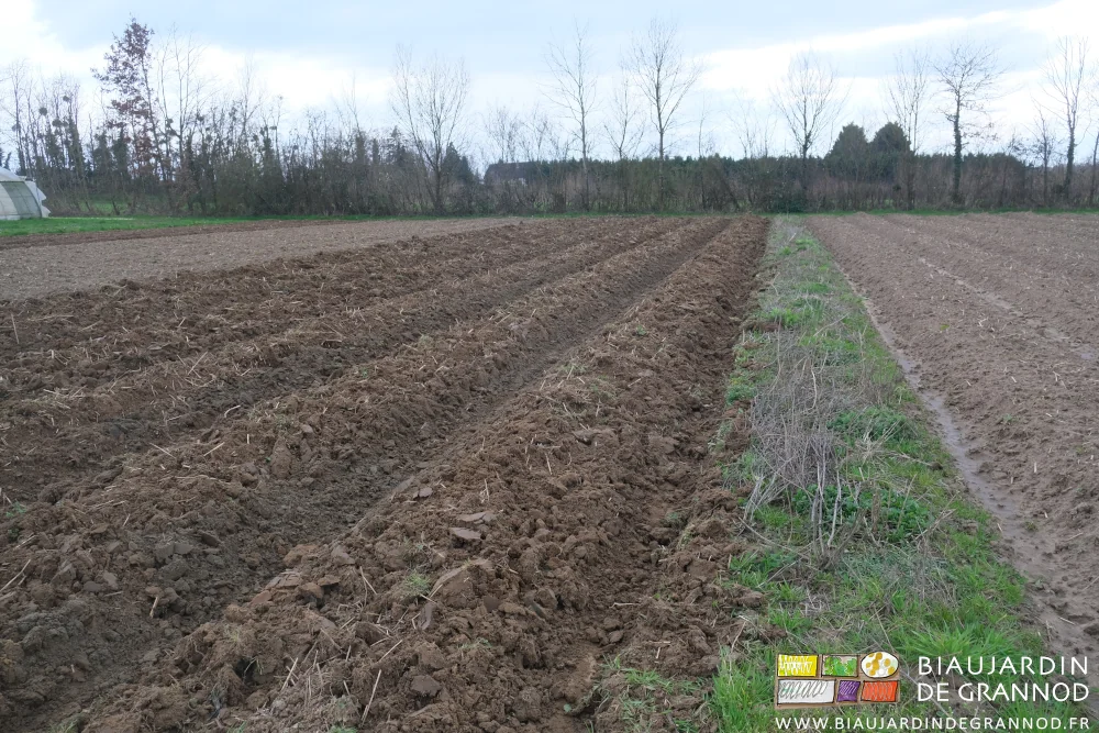 photo d'un carré partiellement butté