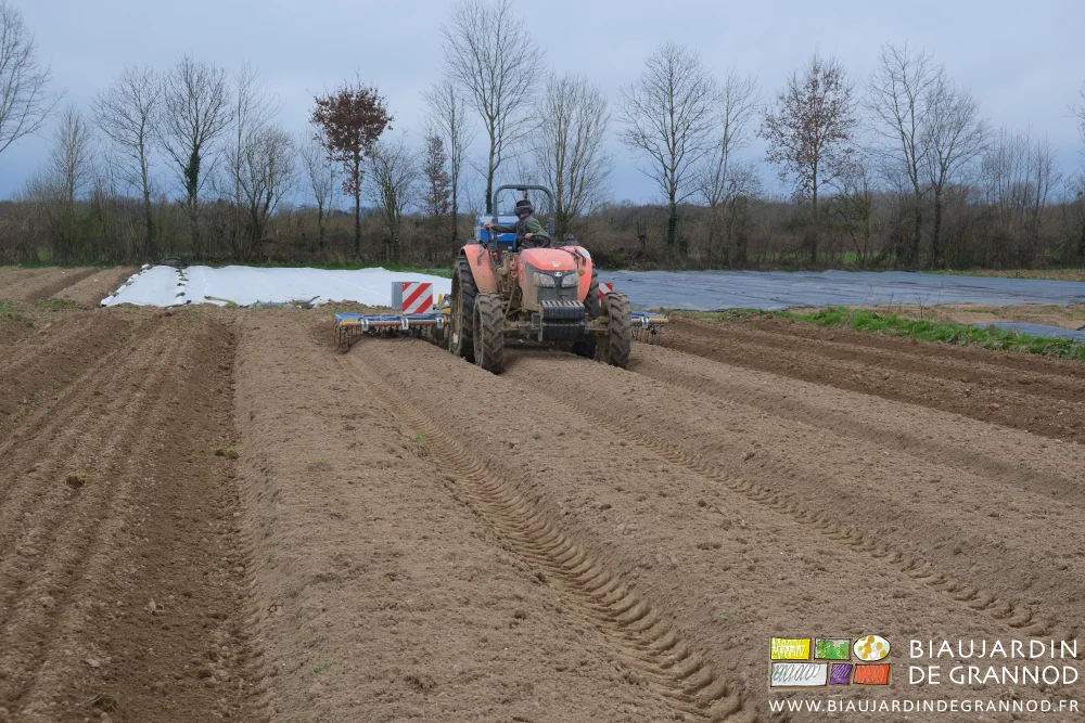 photo de la herse étrille au tracteur travaillant 3 planches simultanément