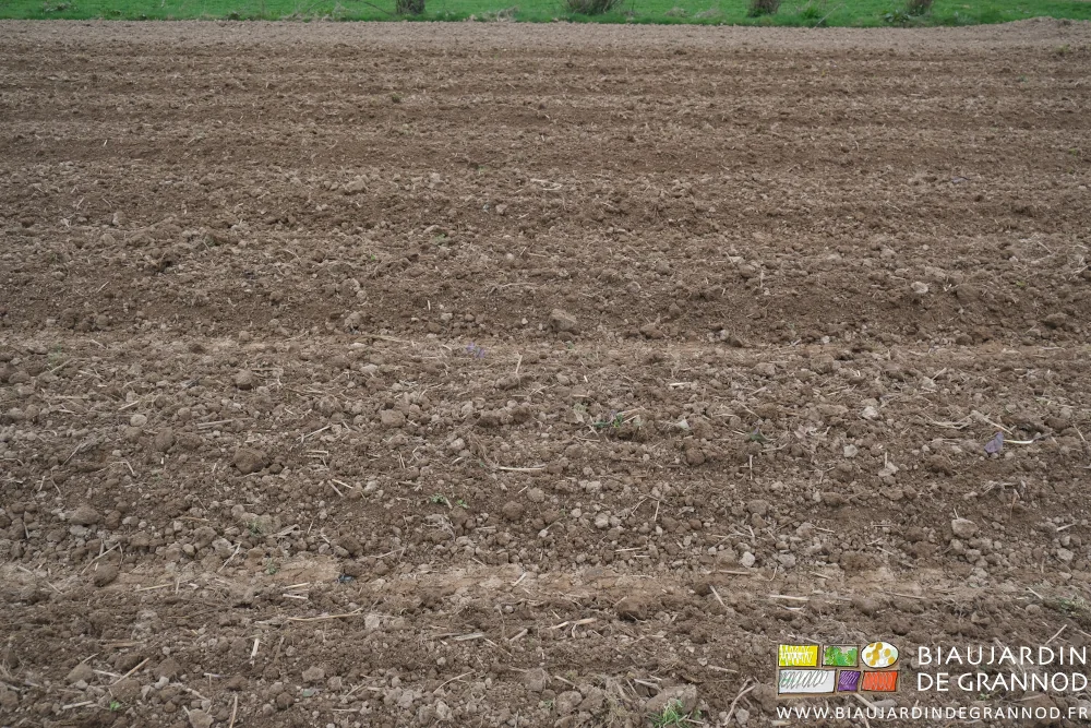 photo proche de planches riches en mottes de terre