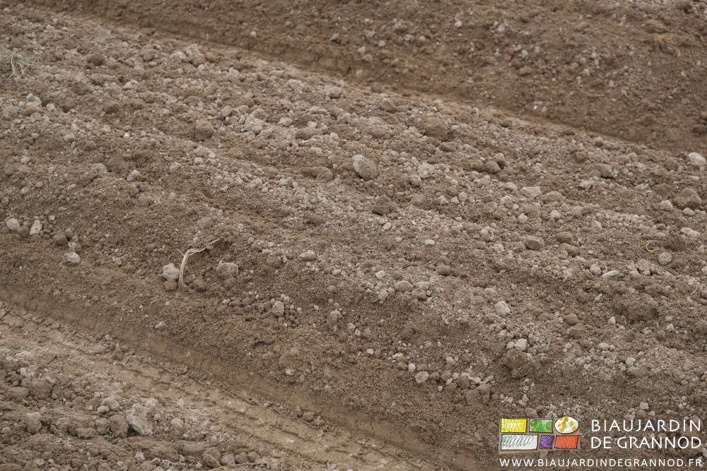 photo proche de planches à structure assez fine en surface