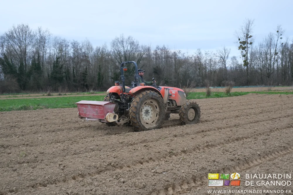 photo de Matthieu au tracteur épandant la féverole sur les planches permanentes