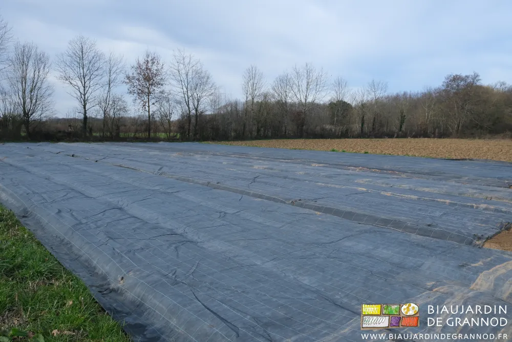 photo d'un carré entièrement occulté