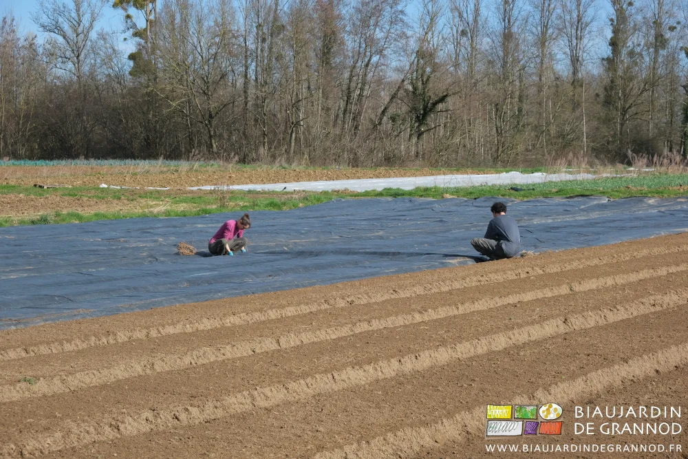 photo de Émilie et Vivien accroupis pour enfoncer les agrafes qui fixent la toile au sol