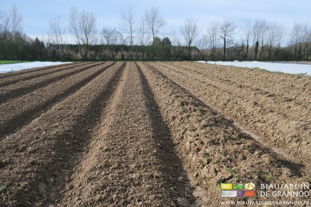 photo d'un carré ayux planches buttées ou après passage de finition superficielle