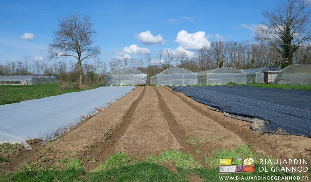 photo de la succession de planches levées, prêtes au semis, et en cours d’occultation