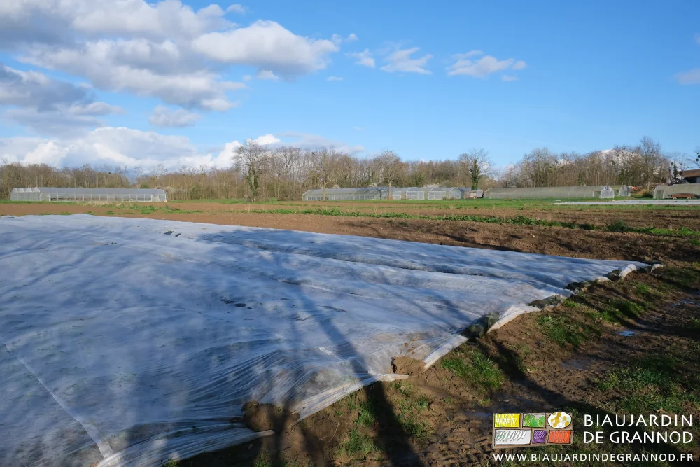 photo d'ensemble du jardin avec les tunnels au fond