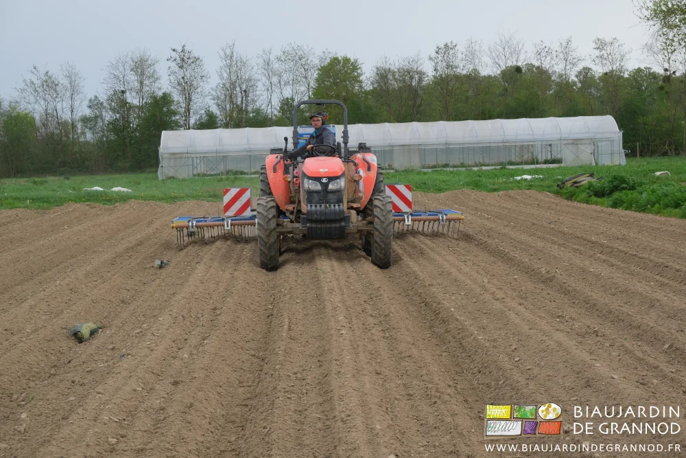 photo de Matthieu au tracteur commençant le deuxième hersage avec l'étrille