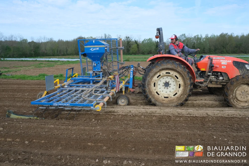 photo de Matthieu surveillant le travail de la herse étrille depuis le tracteur