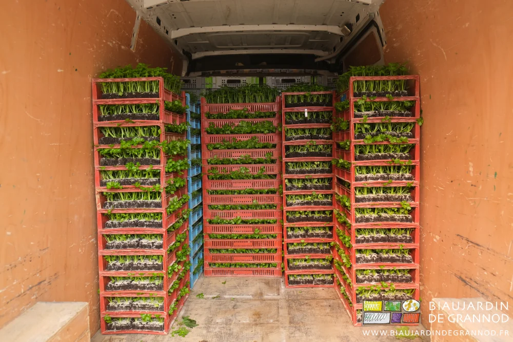photo des piles de caisses de mottes remplissant une bonne surface du fourgon