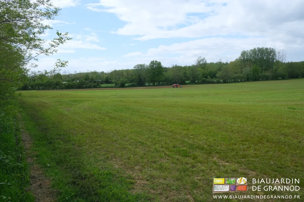 photo d'ensemble de la grande parcelle entourée d'arbres bocagers en mélange