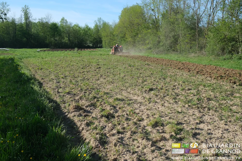 photo du vibro déchaumant une prairie temporaire bordée d'une haie bocagère