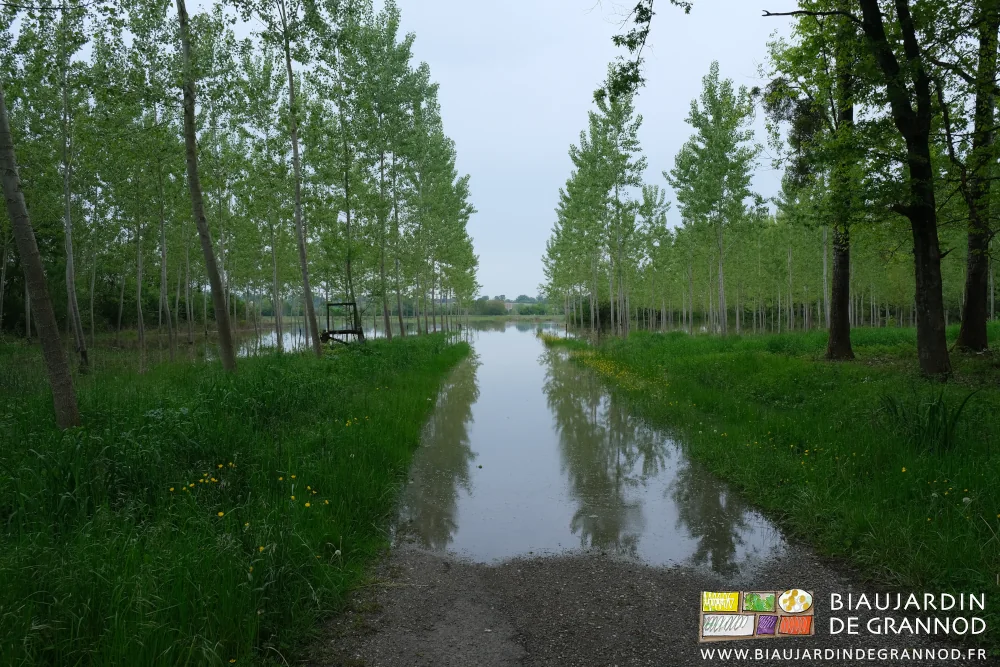 photo du chemin en bas du jardin coupé par l'eau des biefs