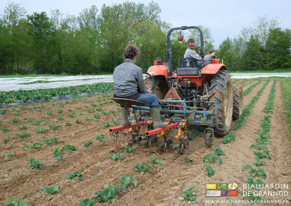 Photo de deux Biaux Jardiniers l’un au tracteur l’autre guidant la bineuse