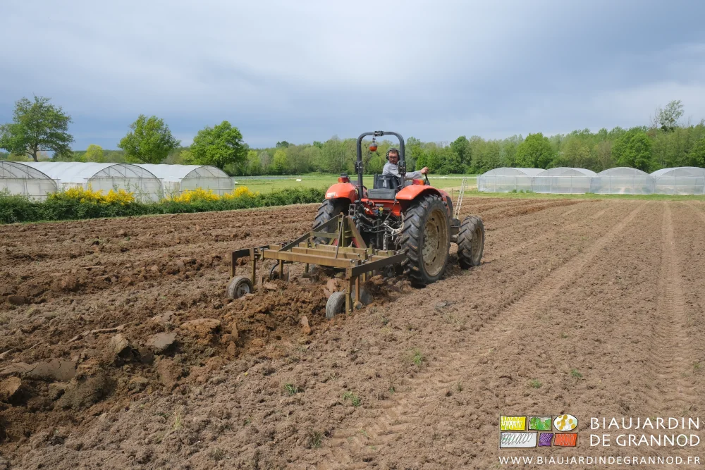 Photo de Matthieu montant les planches avec la butteuse devant des genêts en fleurs jaune