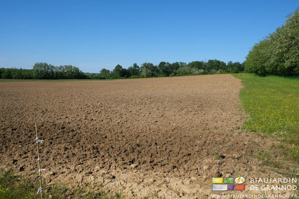 Photo d’ensemble d’une parcelle légèrement pentue après déchaumage au vibro