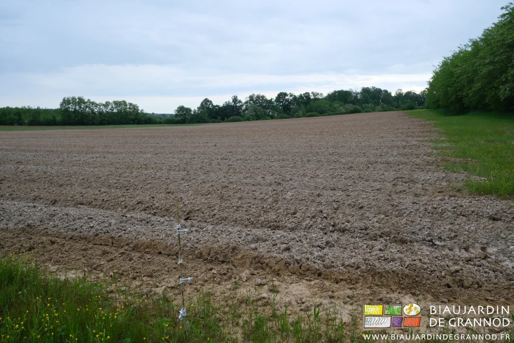 Photo d’ensemble d’une parcelle légèrement pentue planches montées et calcaire épandu