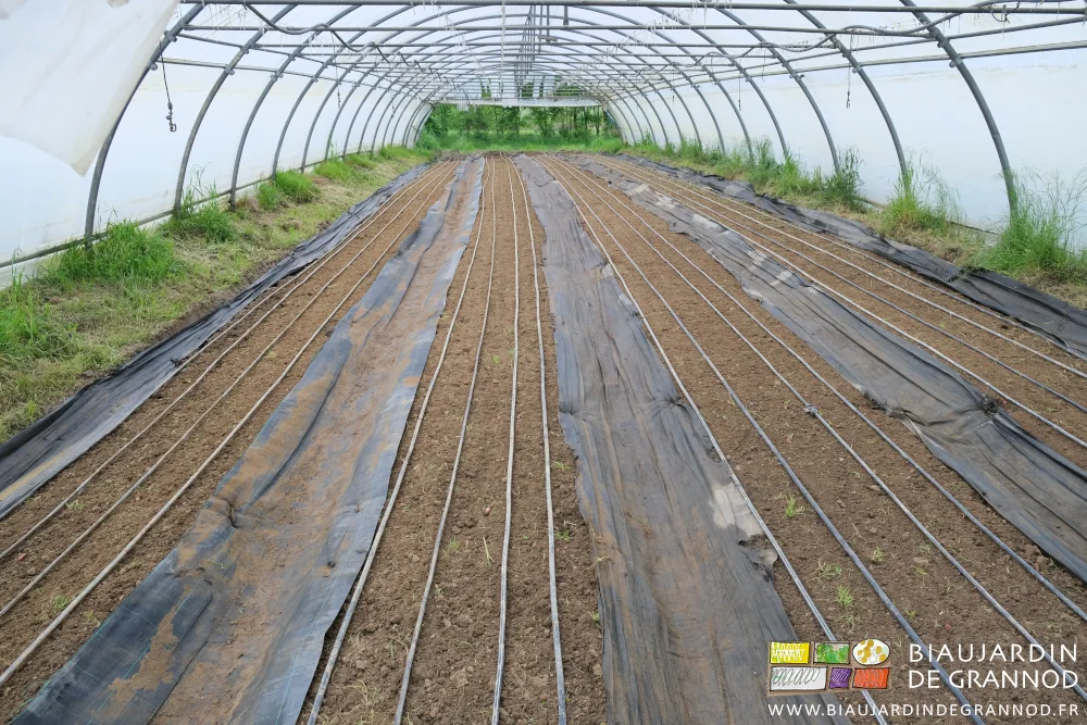 photo des planches équipées des gaines et les allées de toile tissée noire