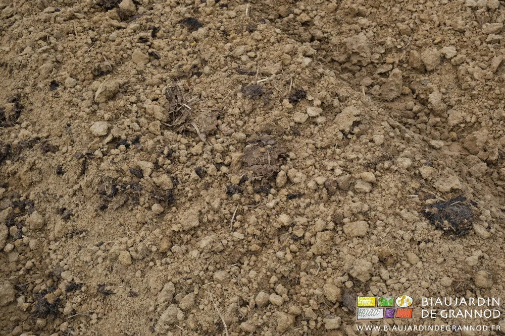 Photo proche d’une planche assez motteuse et à la surface irrégulière