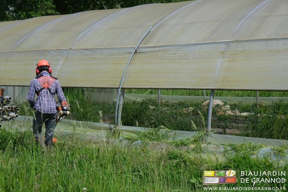 Photo de Vivien fauchant une petite bande d’herbe au pied de chaque tunnel