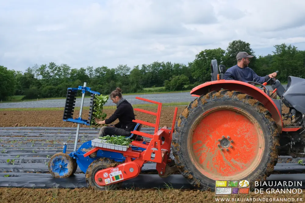 photo de Émilie assise sur la Ferrari et Matthieu sur le Kubota plantant courges et pastèques 