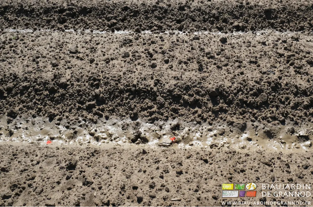 photo d'une planche et ses deux allées gorgées de limons gorgés d'eau