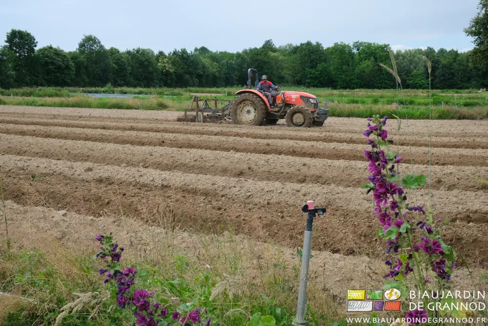 Près d’une bande fleurie riche en mauve, photo de Matthieu fissurant des planches au cultibutte