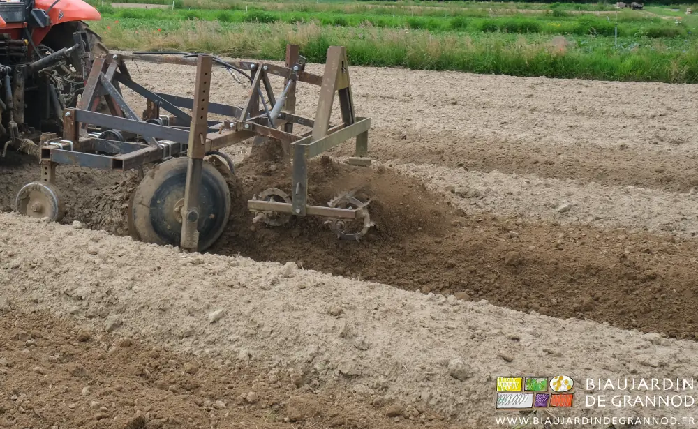Photo proche de l’affinage de surface par le rouleau arrière du cultibutte au travail