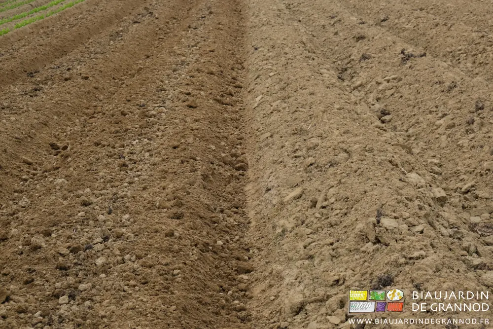 Photo de la surface des planches, aérée mais trop motteuse et irrégulière