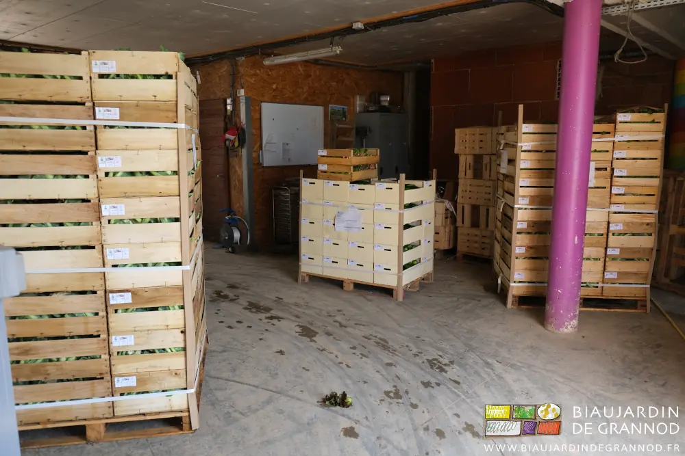 Photo du local d’expédition avec 3 palettes de légumes prêtes