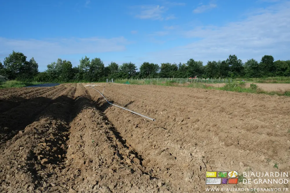 Photo ensoleillée d’un carré aux planches permanentes buttées en attente