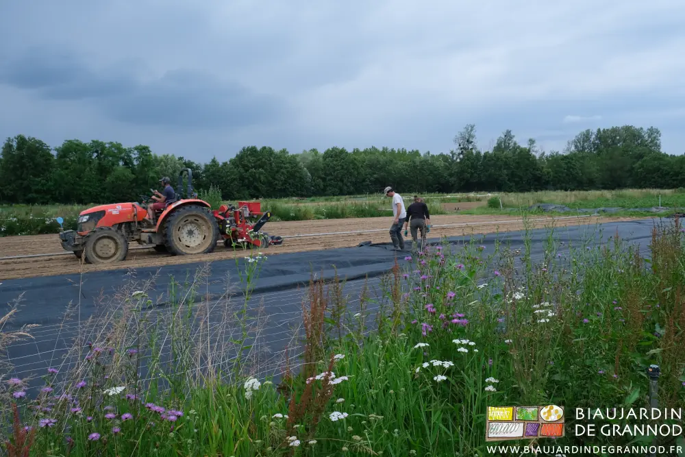 Photo du semis et de la pose des toiles tissées avec la bande fleurie au premier plan