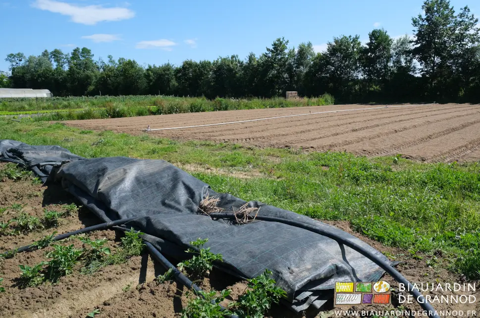 Photo des toiles tissées d’occultation rangées dans les allées en attente de repose