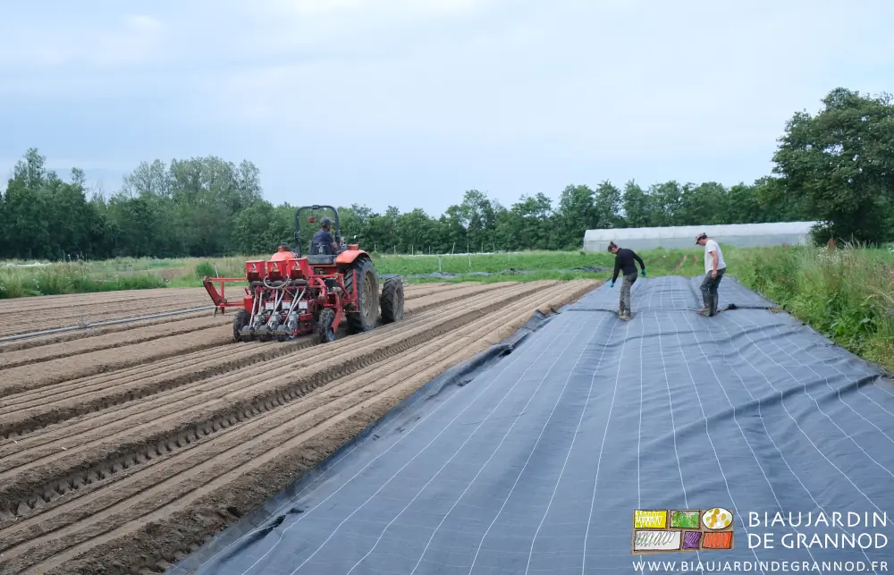 Photo de Vivien et Émilie enfonçant les agrafes de maintien de la toile avec les pieds