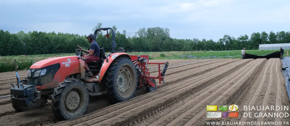 photo de Matthieu sèmant pendant que Vivien et Émilie déroulent les premières toiles