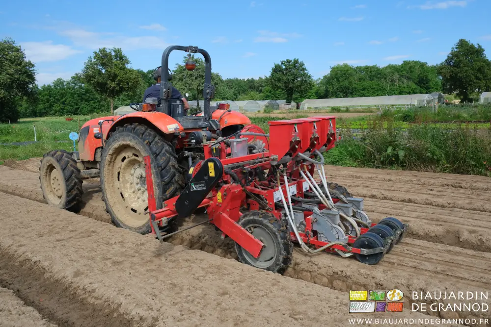 Photo du semoir pneumatique 3 rangs en action, Matthieu au tracteur