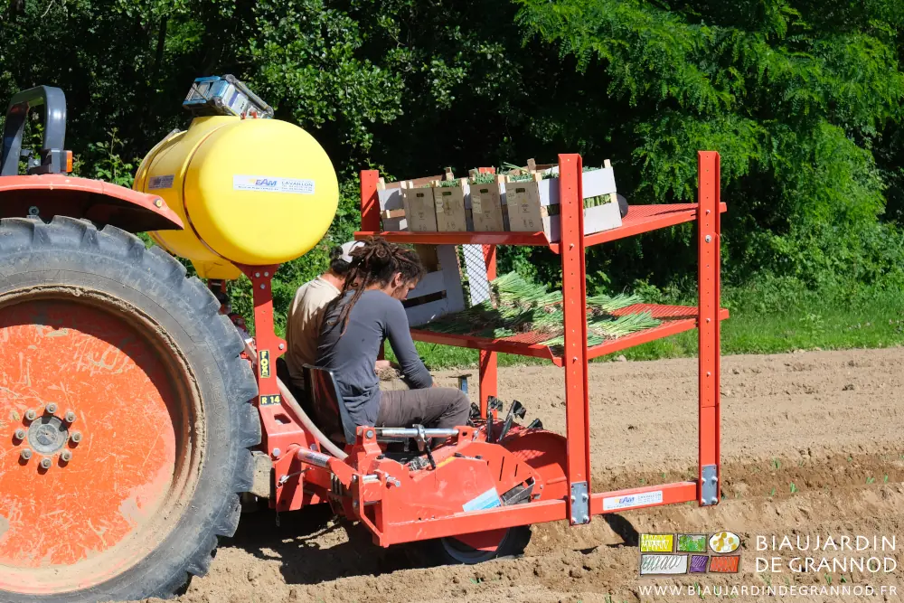 Photo de l’équipe sur la planteuse installant les poireaux dans les pinces du distributeurs