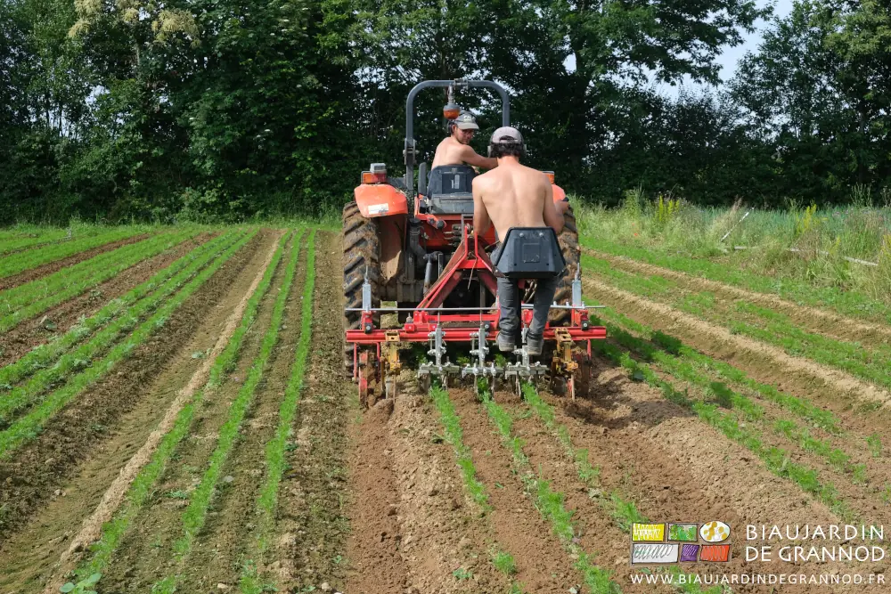 photo de Vivien guidant la bineuse de précision et Matthieu la dirigeant du tracteur