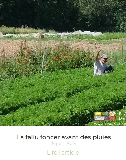 copie de l'en tête de l'article de la semaine précédente